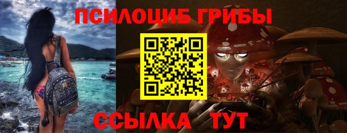 Галлюциногенные грибы Magic Shrooms  Вход с VPN  Мценск  Галлюциногенные грибы прущие грибы 